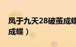 凤于九天28破茧成蝶陌香（凤于九天28破茧成蝶）
