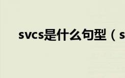 svcs是什么句型（svc句型是什么意思）