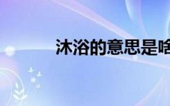 沐浴的意思是啥（沐浴的意思）