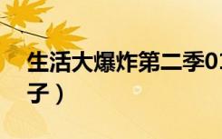 生活大爆炸第二季01（生活大爆炸第二季种子）