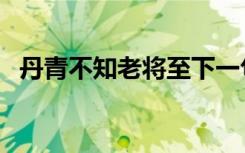 丹青不知老将至下一句（丹青不知老将至）