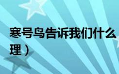 寒号鸟告诉我们什么（寒号鸟告诉我们什么道理）
