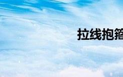 拉线抱箍（拉线）