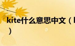 kite什么意思中文（kite什么意思中文怎么说）