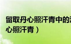 留取丹心照汗青中的汗青指的是什么（留取丹心照汗青）