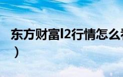 东方财富l2行情怎么看（东方财富通l2决策版）