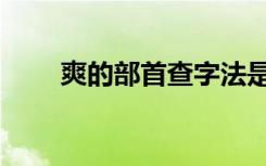爽的部首查字法是什么（爽的部首）