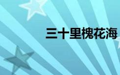 三十里槐花海（三十里花海）