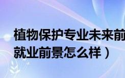 植物保护专业未来前景（2022植物保护专业就业前景怎么样）