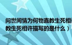 问世间情为何物直教生死相许描写的是（问世间情为何物直教生死相许描写的是什么）