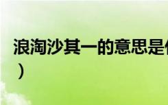 浪淘沙其一的意思是什么（浪淘沙其一的意思）