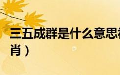 三五成群是什么意思视频（三五成群是什么生肖）