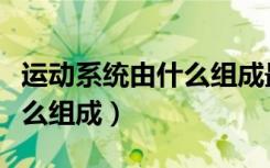 运动系统由什么组成最新说法（运动系统由什么组成）