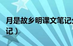 月是故乡明课文笔记分段（月是故乡明课文笔记）