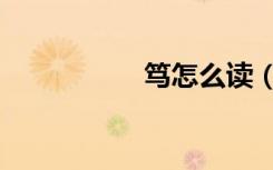 笃怎么读（笃怎么读）