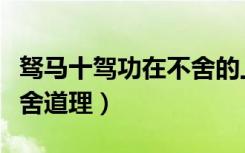 驽马十驾功在不舍的上一句（驽马十驾功在不舍道理）