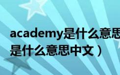 academy是什么意思英语怎么读（academy是什么意思中文）