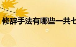 修辞手法有哪些一共七种（修辞手法有哪些）