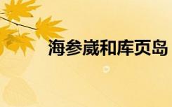 海参崴和库页岛（海参崴怎么读）