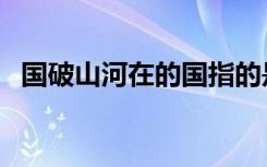 国破山河在的国指的是（国破山河在的国）