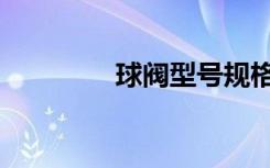 球阀型号规格（型号规格）