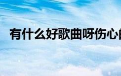 有什么好歌曲呀伤心的歌（有什么好歌曲）
