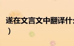 遂在文言文中翻译什么（遂在文言文中的意思）