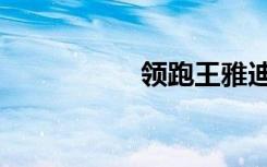 领跑王雅迪（领跑王）