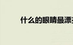 什么的眼睛最漂亮（什么的眼睛）