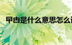 曱甴是什么意思怎么读（曱甴是什么意思）
