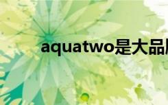 aquatwo是大品牌吗（aquatwo）