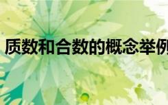 质数和合数的概念举例（质数和合数的概念）
