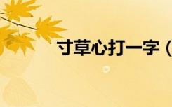 寸草心打一字（寸草心打一字）
