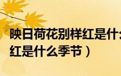 映日荷花别样红是什么季节的（映日荷花别样红是什么季节）
