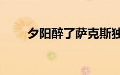 夕阳醉了萨克斯独奏（夕阳打一字）