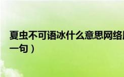 夏虫不可语冰什么意思网络用语（夏虫不可语冰什么意思下一句）