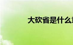 大砍省是什么意思（大砍省）