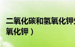 二氧化碳和氢氧化钾生成什么（二氧化碳和氢氧化钾）