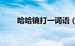哈哈镜打一词语（哈哈镜打一成语）