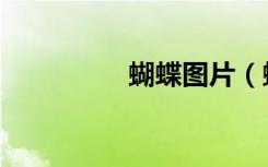 蝴蝶图片（蝴蝶过山门）