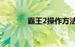 霸王2操作方法（霸王2秘籍）