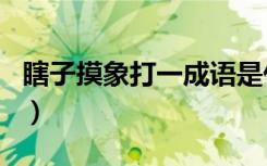 瞎子摸象打一成语是什么（瞎子摸象打一生肖）