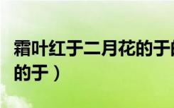 霜叶红于二月花的于的意思（霜叶红于二月花的于）