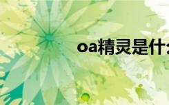 oa精灵是什么（oa精灵）