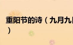 重阳节的诗（九月九日重阳节诗句诗词有哪些）