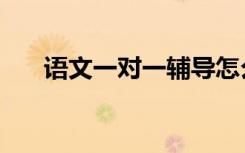 语文一对一辅导怎么教（方法是什么）