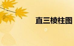 直三棱柱图（直三棱柱）