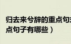 归去来兮辞的重点句式（归去来兮辞当中的重点句子有哪些）
