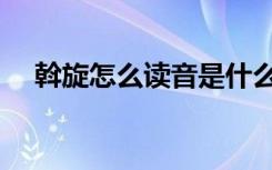 斡旋怎么读音是什么意思（斡旋怎么读）