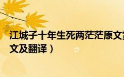 江城子十年生死两茫茫原文赏析（江城子十年生死两茫茫原文及翻译）